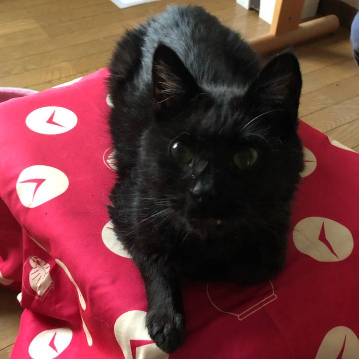 0d5951fd 6753 44bd 8c23 47e6b5c5457a 1627304881394