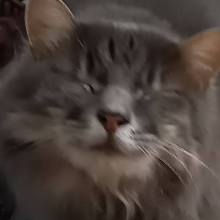 0d597b5a ad80 4218 a735 9b5e35a88341 1602461929532