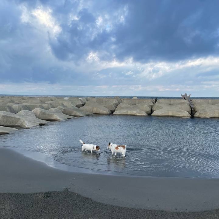 0d599cd1 13db 41c6 b3df cfe56cfc59e9 1758068045551