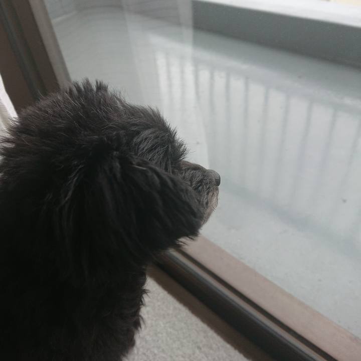 0d59b39d 7586 4e3f 93ee d5978599a4db 1521679008647