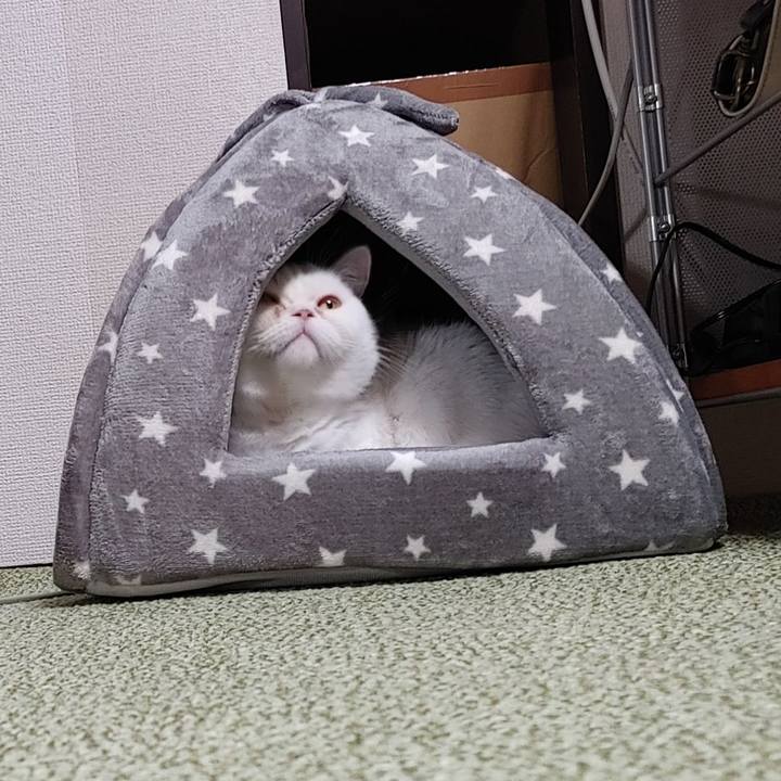 0d59d3a0 9f86 4400 9453 78b974de5736 1637416762188