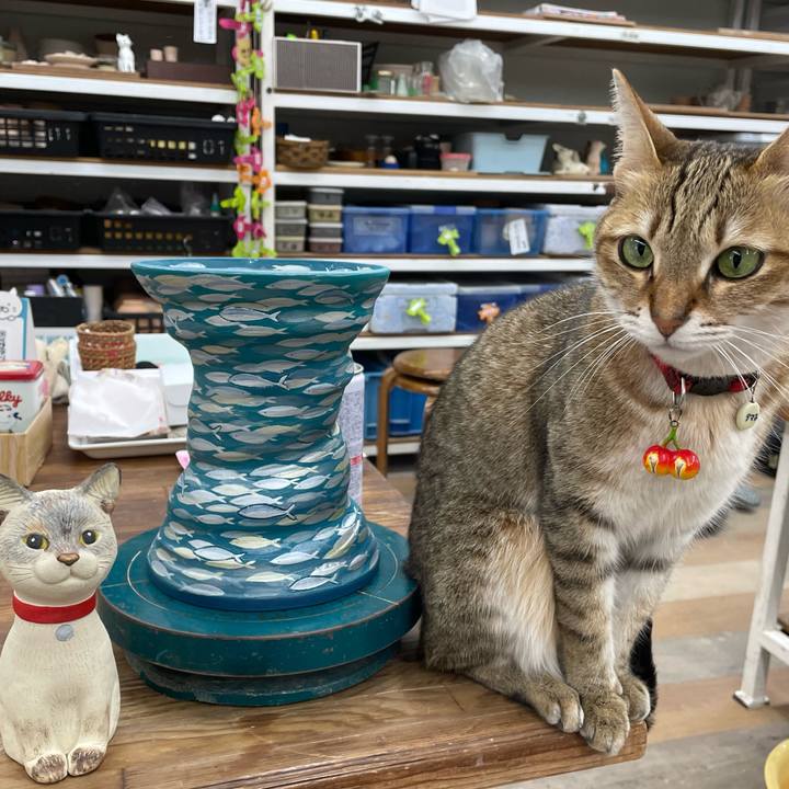 0d59d66c bc58 4ed7 963a 9a783f3530b0 1673703449642