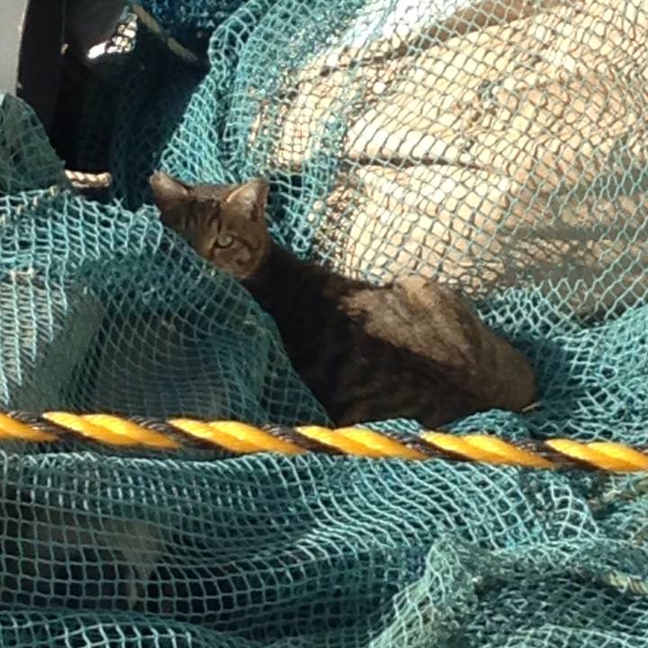 0d5a3957 276f 4454 8e0a 2ab65c4627a6 1513798413842