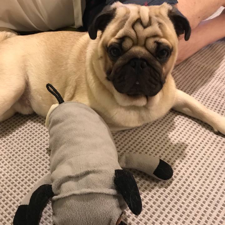 0d5a7bb2 5666 4eae 979f c4ddbd40f012 1567606926436