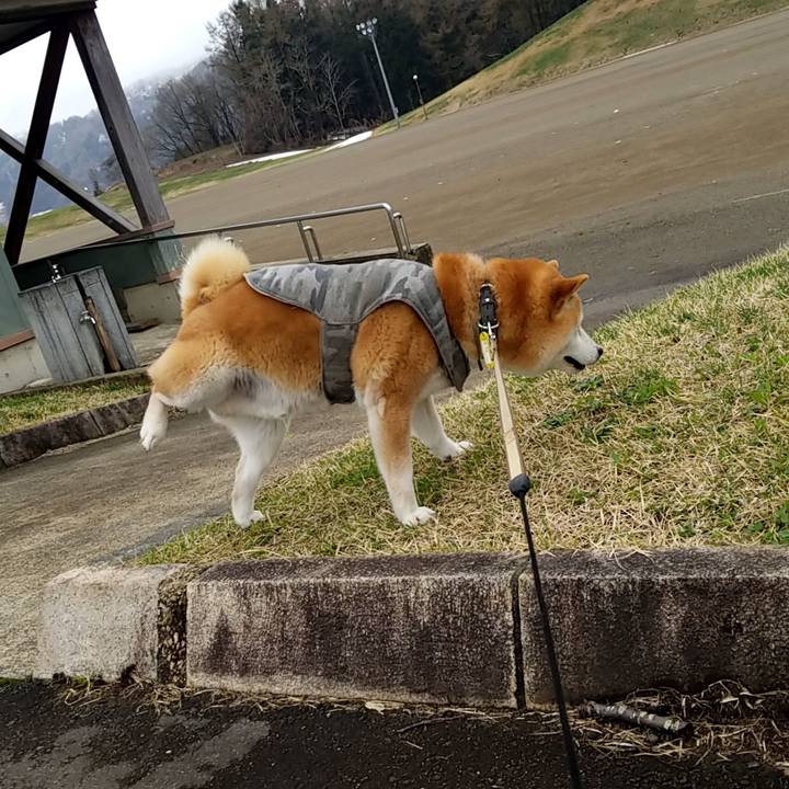 0d5a817e cc3c 4cd1 80e7 5ca7bb19a882 1649993045071