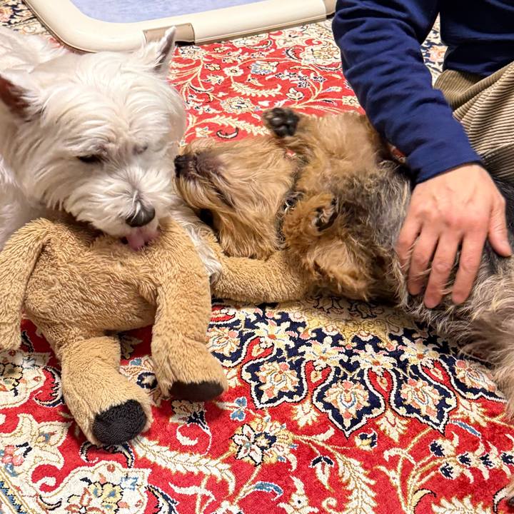 0d5a918d 46f8 4715 abce daf31eb3541a 1768482741080