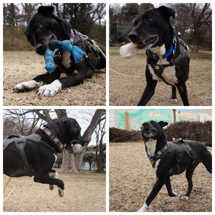 0d5acfd9 98f2 4146 976c d46fac6f187e 1646357914765