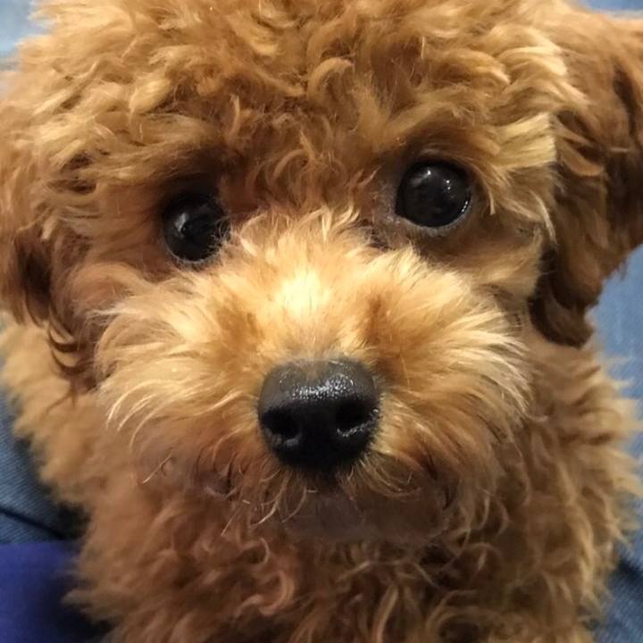 0d5acfdb c21f 4c0a 8b12 488e3e487330 1519219988272