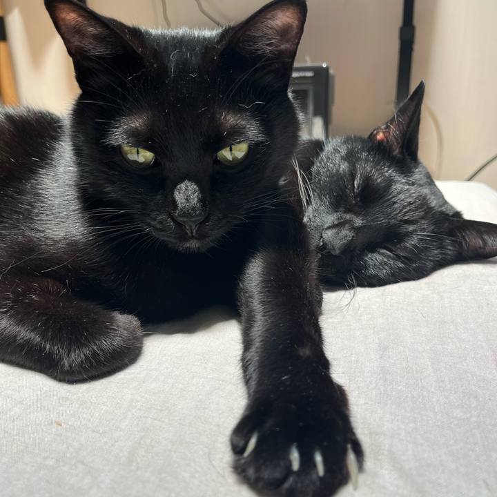 0d5af57a d36f 4f91 bf96 a5ea2f9de750 1716003240207