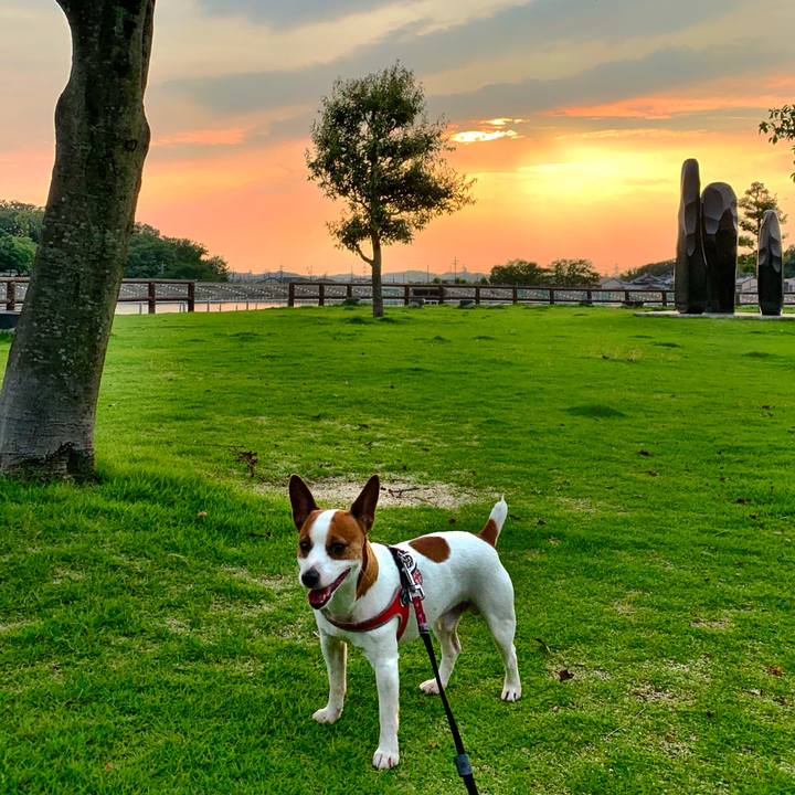 0d5b161e 0b83 4b5c 834d 9255ccfd713f 1562410940814