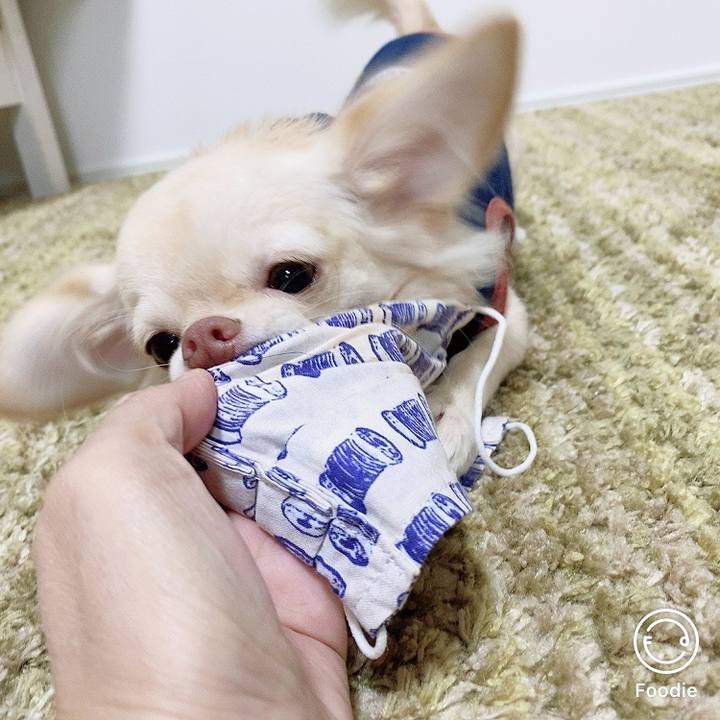 0d5b2377 451e 47b9 b84d b77bb227b4d4 1603681192126