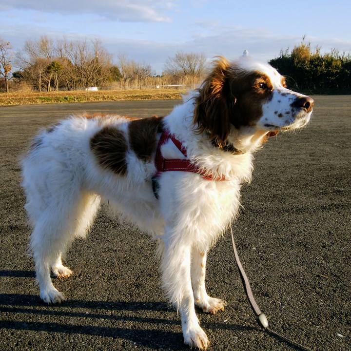 0d5b679d d659 4fc7 aa00 8977be4bff99 1552003275955