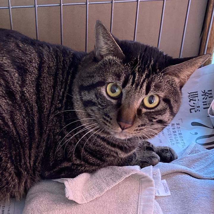 0d5b98e8 6b32 41cd 918e 20b9eea35d3c 1644392628695