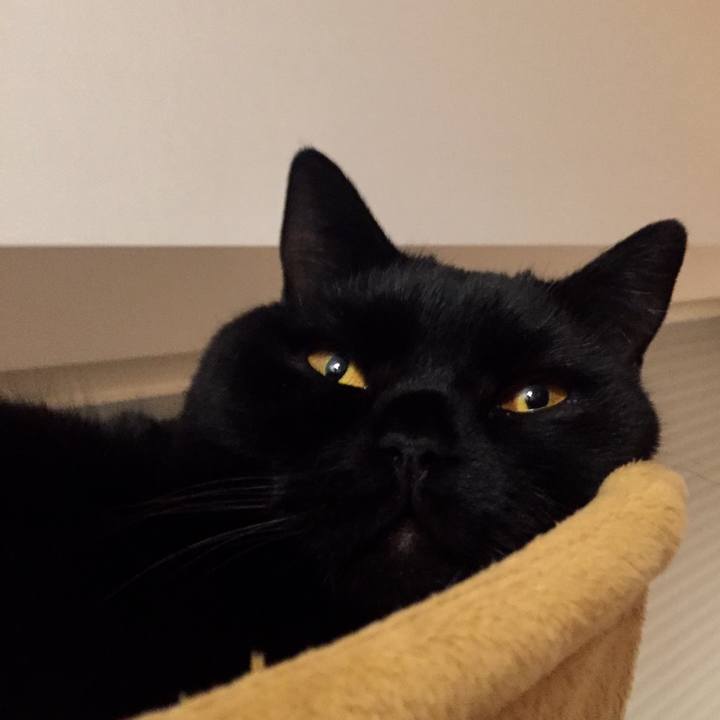 0d5ba441 9cc7 4eed 8ae2 ccf0f2a6a3f2 1576500002903