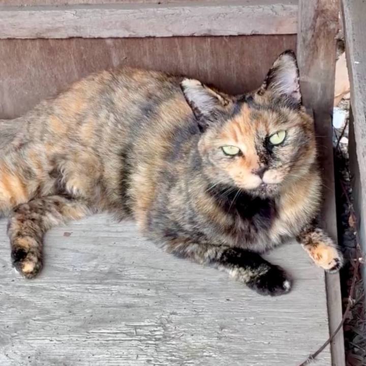 0d5bab31 26ca 43f9 b44f f25d6a6ec06b 1752221105487