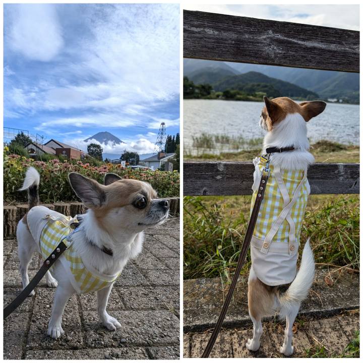 0d5bd030 f892 4122 b743 b41403acb97f 1726479726992