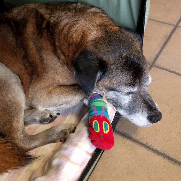 0d5bd5b4 60d6 4bdb 86ca 52fd7fb6f936 1550382785701