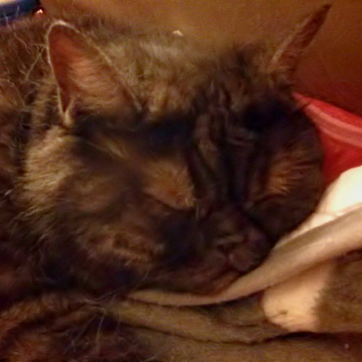 0d5bec42 3f7b 4853 af02 2d17292d3a75 1528716146088