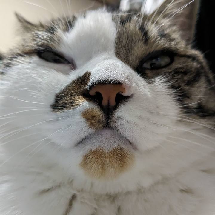 0d5bf1e0 81c0 41e6 bb1c c5777a2dc28a 1716091480865