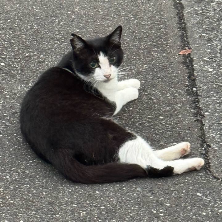 0d5c04c3 68e4 4989 9ba7 e6dc12b221e5 1755569947082