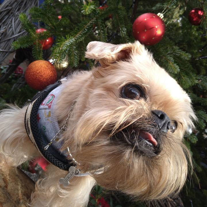 0d5c6097 86f5 4336 9f23 faa67d172737 1669201821094