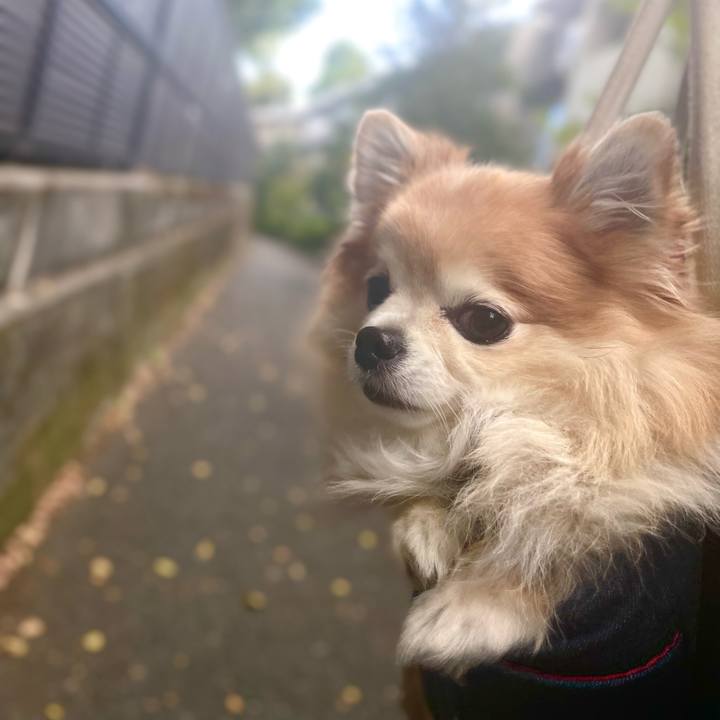 0d5c6176 45cb 4df7 b919 3b75c3d0ab18 1760832868391