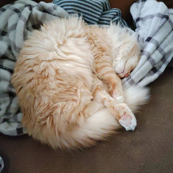 0d5ccd90 0999 42d1 b053 5e436b615ac1 1681882671622