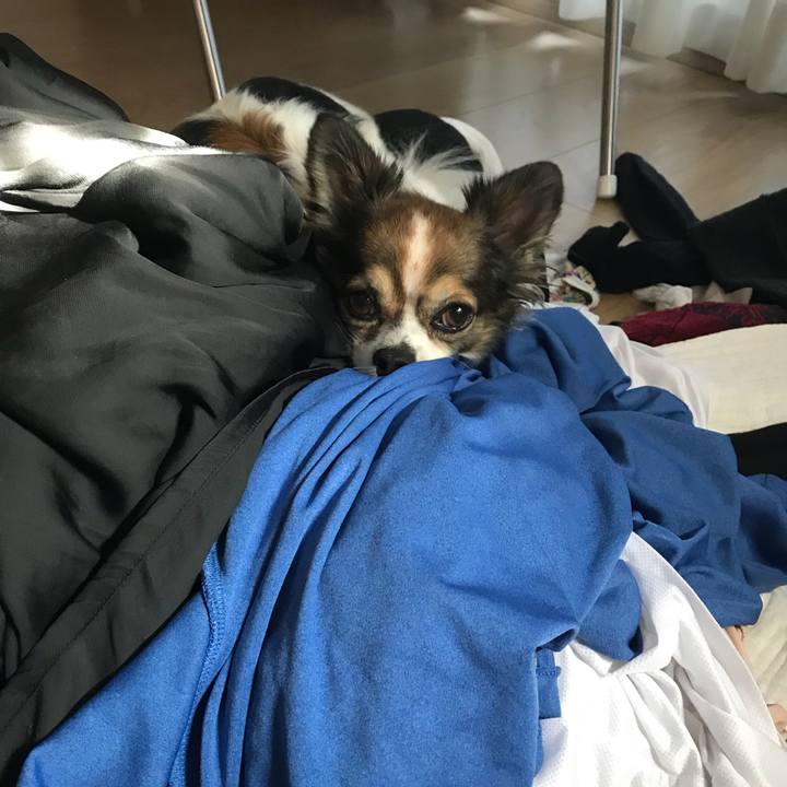 0d5ce008 c438 4982 b31b 79945a7d92cf 1536189296327