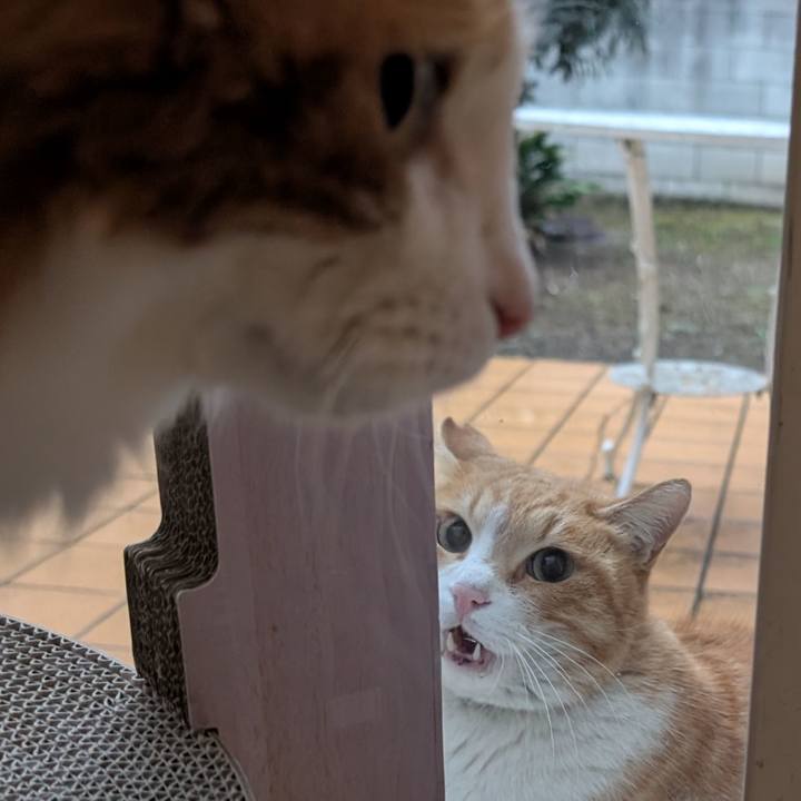 0d5d24e3 b657 46a3 83d7 88adf461ca95 1741619979019