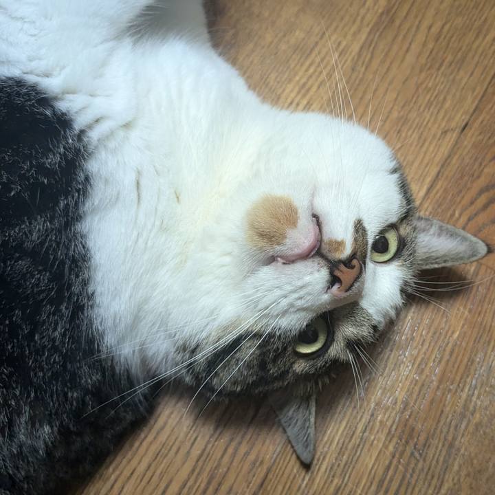 0d5d4426 d404 4eee 8a90 6e7c54255919 1720528071578