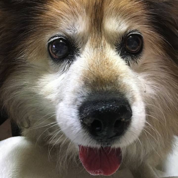 0d5d66df 1ece 4c58 8169 91b39b8ab620 1661587896436