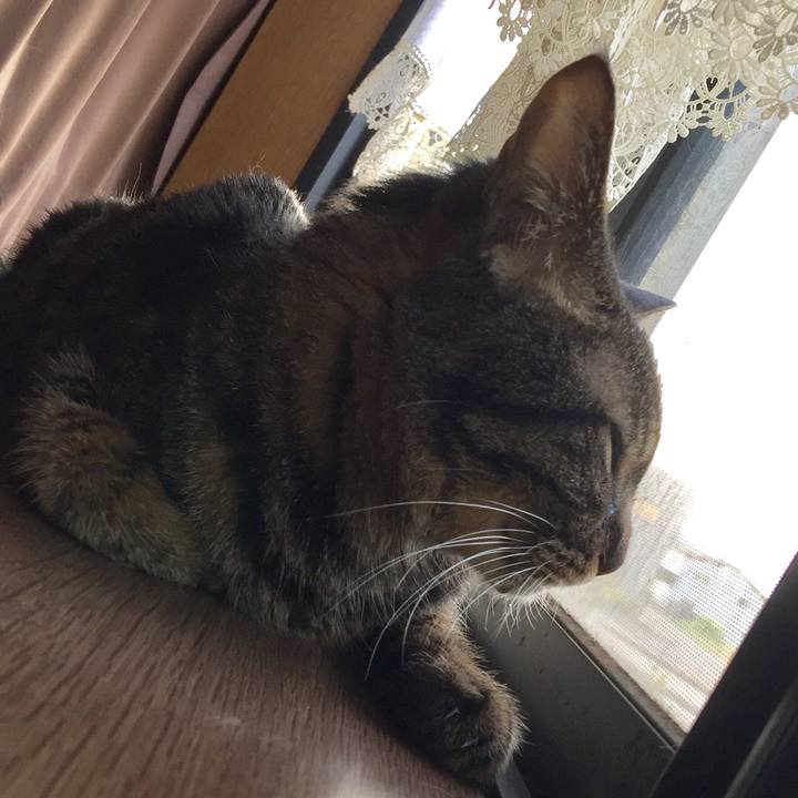 0d5d7938 d437 4186 b5ea e52047fe2030 1533594251285