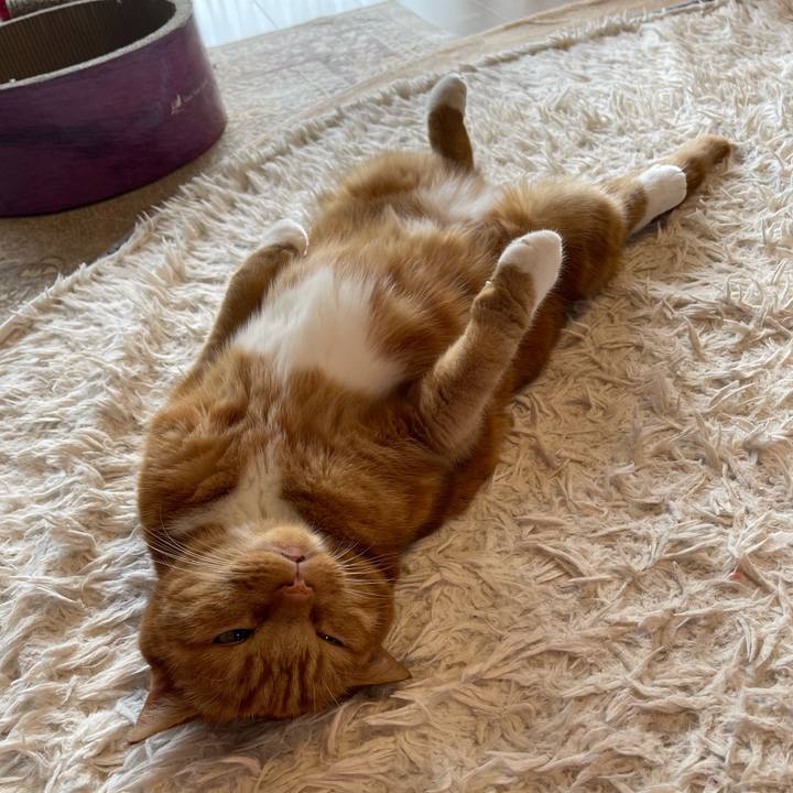 0d5d8824 dee1 4f3f b00b 669f24a0c1e5 1747464600917