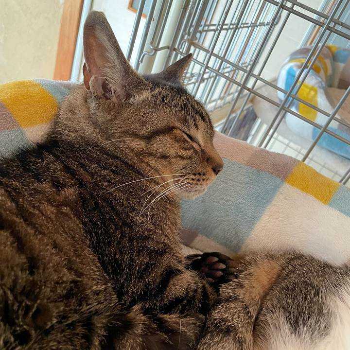 0d5d8f17 6a50 4682 816f 8897a0bcf3b1 1622426530311