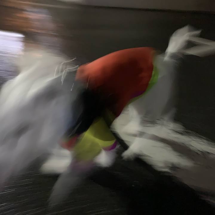 0d5da3b1 7aba 457c 92e1 32dbcc3e1380 1708261091057