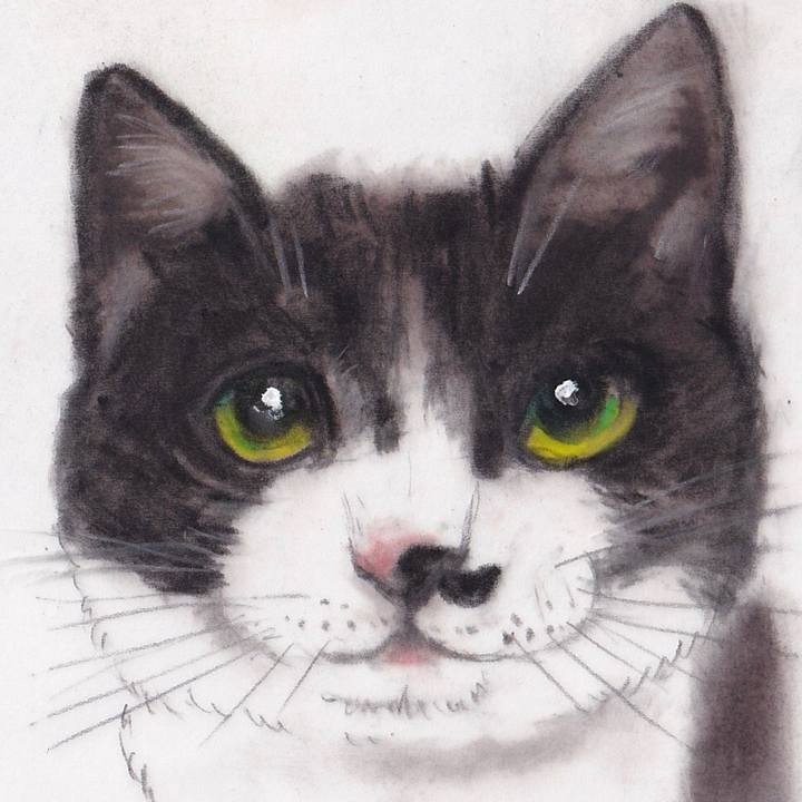 0d5e2159 edb8 420b ba1d 67a248002986 1668526982483