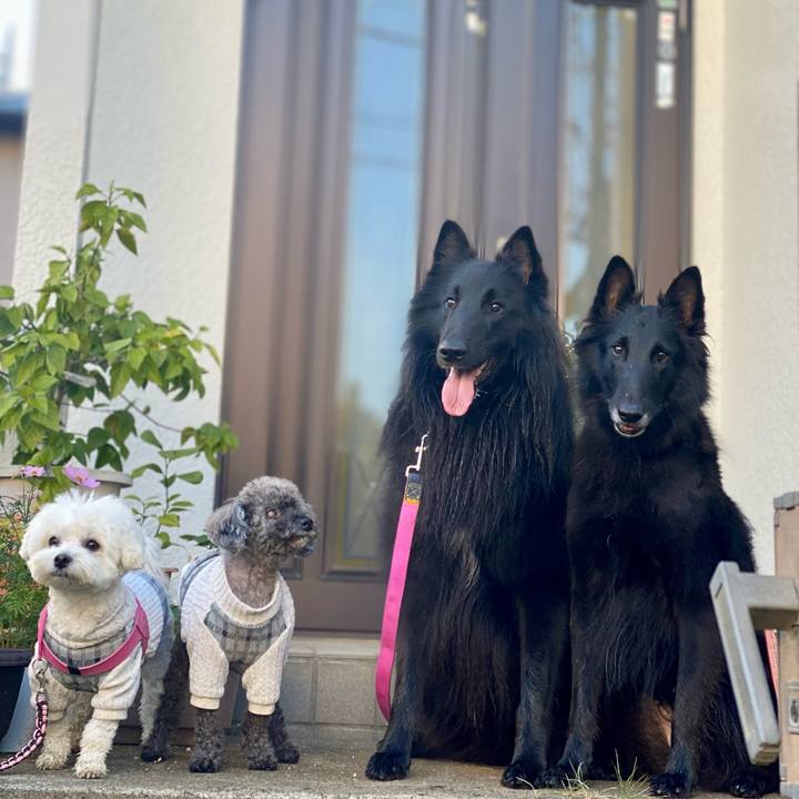 0d5e2c78 a472 45de 848c ce06ea302b0c 1763562483318