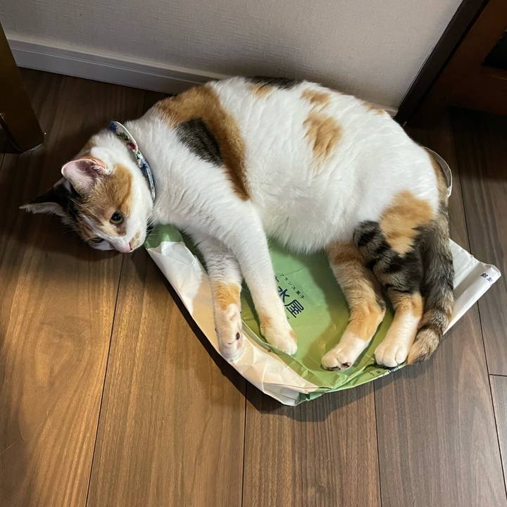 0d5e611d c4fe 451c 9a04 aa5c9ce96814 1694437523908