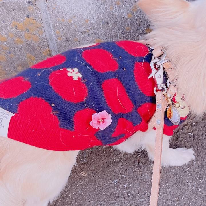 0d5ea436 b413 4656 b2b6 85655727e279 1677065133709