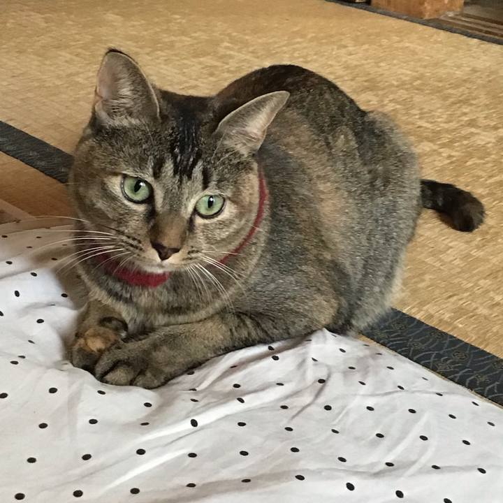 0d5ea4e6 6e73 4ef8 b537 3aa78978905f 1603770468601