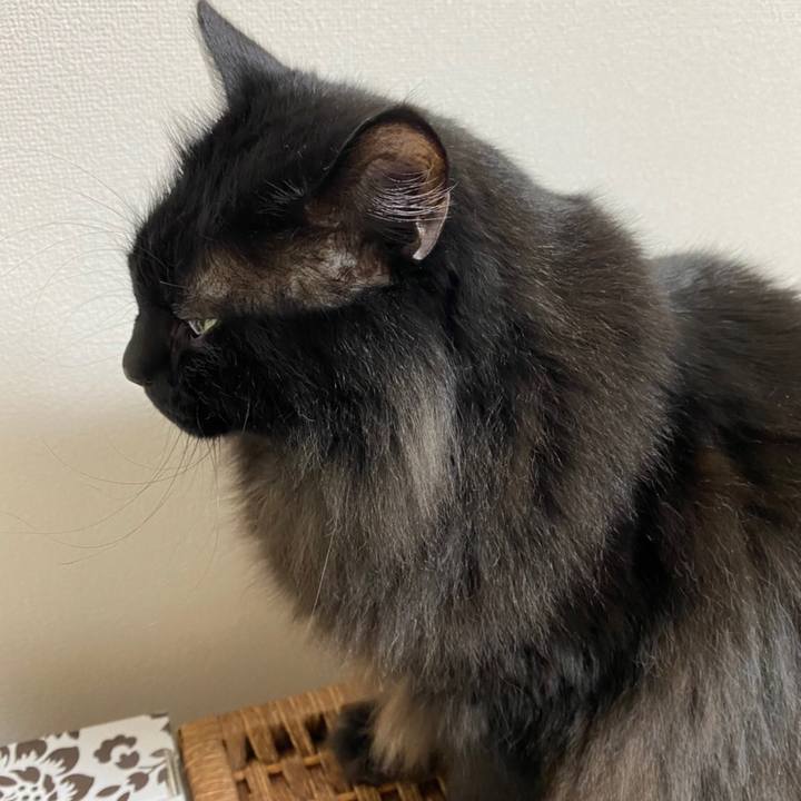 0d5ea848 0bd7 4711 bfdf 4a2fafdfbc63 1577992858129