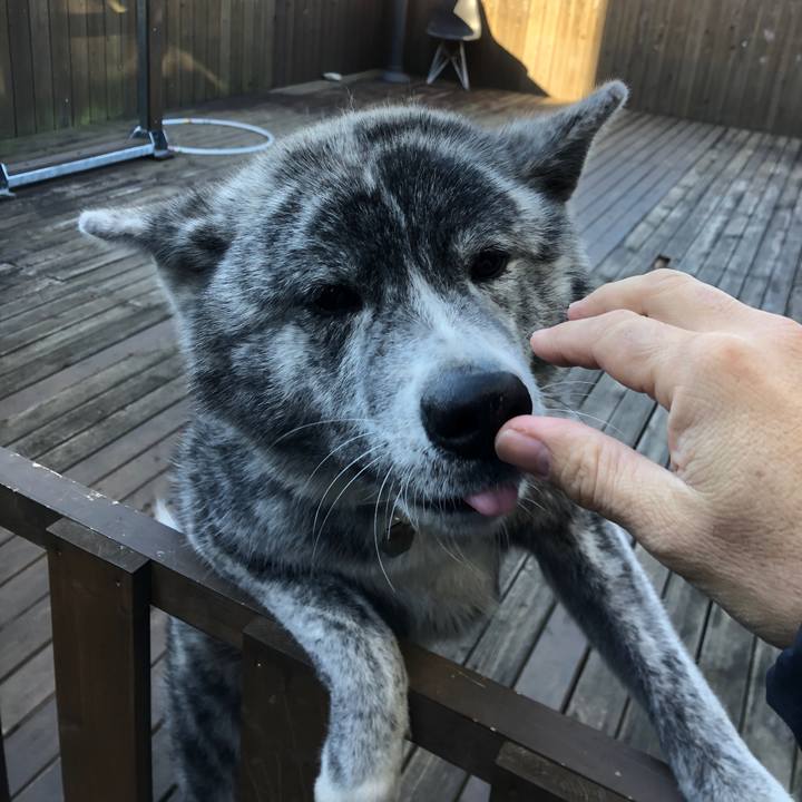 0d5eb517 fac6 4f91 9de7 44ab7574d868 1577162715124