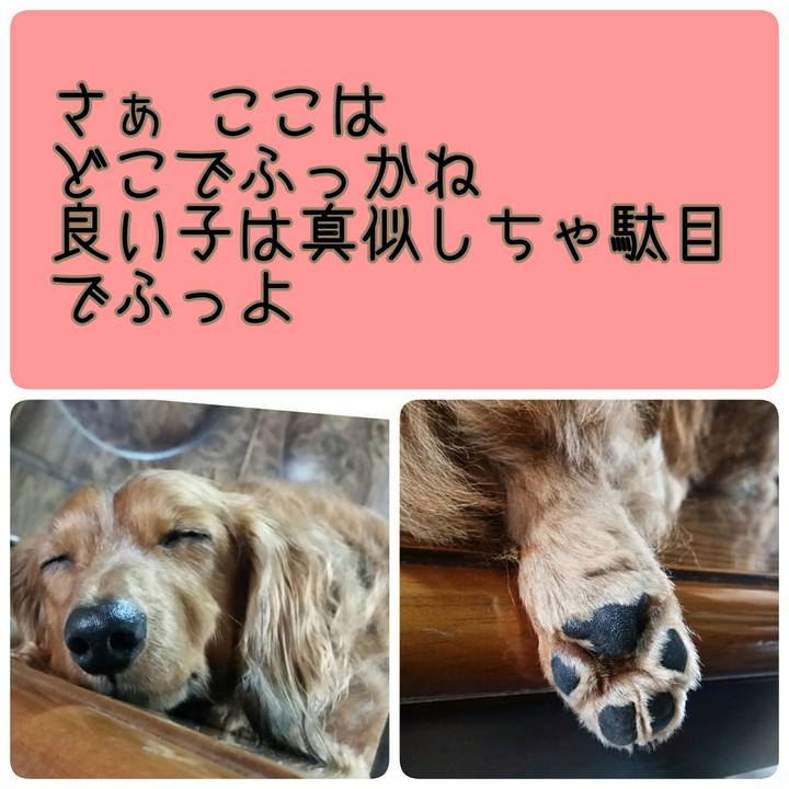 0d5ebbeb 57ff 4f45 8bc0 ae2f62b9a76c 1532132607527