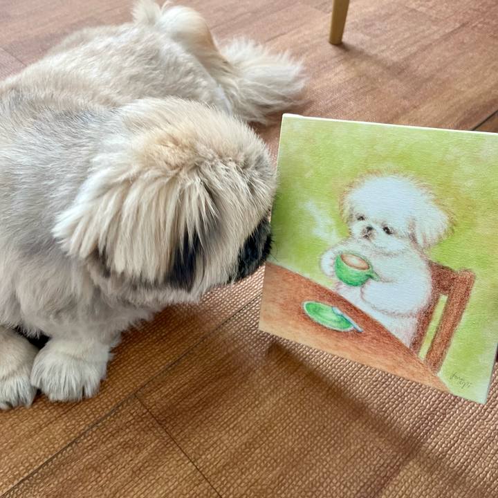 0d5ee859 368b 41ef 9684 f37bc6b5d015 1733013652727