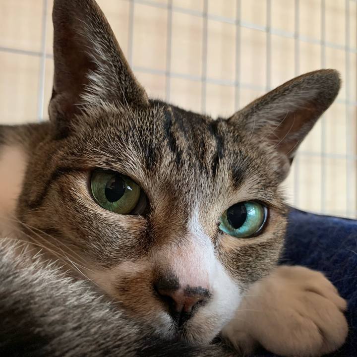 0d5f0625 2608 42bc 831d 1b602a3882a7 1594861958585