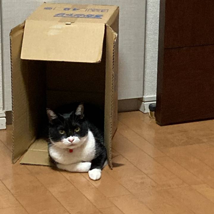 0d5f2764 9e4e 4654 a9a1 b8dab941c2c3 1651153541775