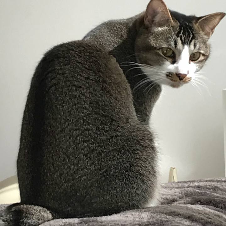 0d5f3695 2dfa 4839 8e7b 70126ffc6465 1520301583084