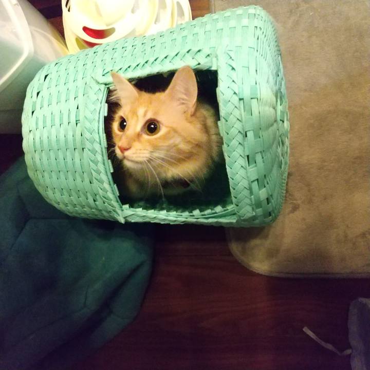 0d5f3d0e 37c0 4e36 99ee 9569b06cf797 1639456900021