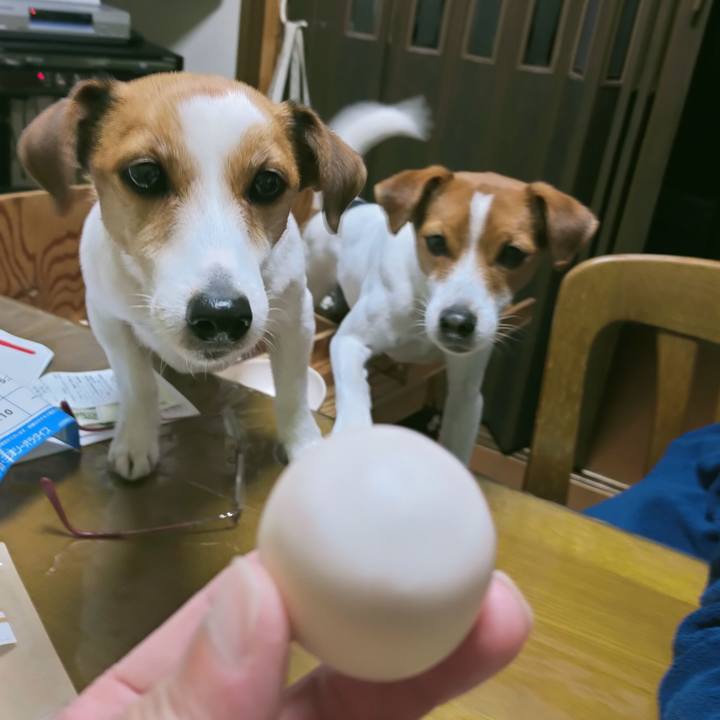 0d5f4bc2 f1e5 47af bcf6 185fde91b83f 1768809035401