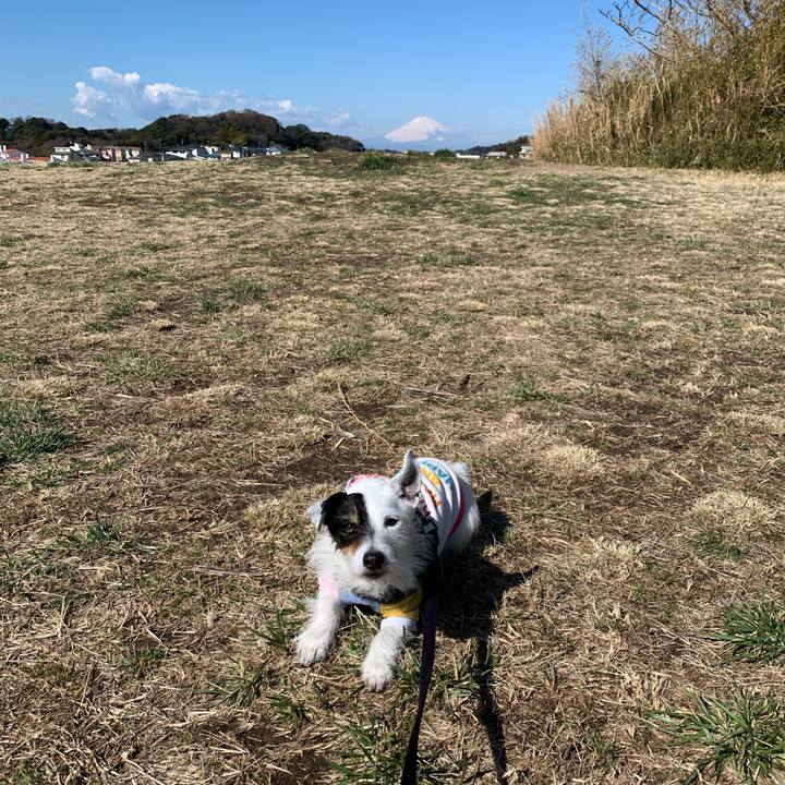 0d5f5a0b c8f0 40d5 a02d 687c1793f56d 1709951218045